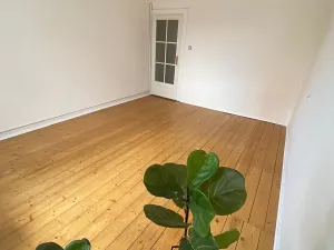 Pronájem bytu 2+1, Praha - Nusle, Na Pankráci, 58 m2