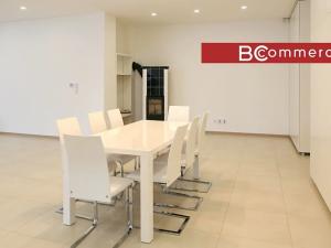 Pronájem rodinného domu, Brno, Pod Borovníkem, 330 m2