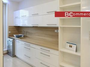 Pronájem rodinného domu, Brno, Pod Borovníkem, 330 m2