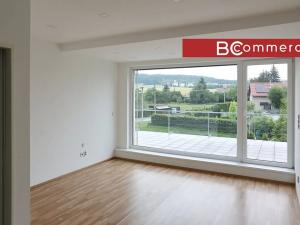 Pronájem rodinného domu, Brno, Pod Borovníkem, 330 m2