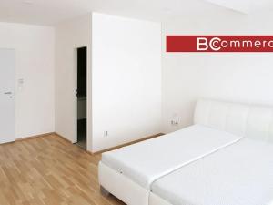 Pronájem rodinného domu, Brno, Pod Borovníkem, 330 m2