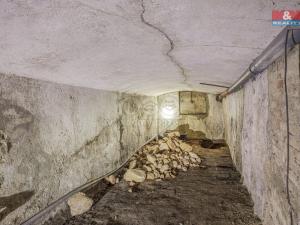 Prodej činžovního domu, Dubí - Pozorka, Tyršova, 370 m2