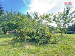 Prodej chaty, Omlenice, 31 m2