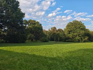 Pronájem bytu 2+1, Brno, Antonínská, 64 m2