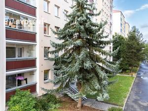 Prodej bytu 3+1, Teplice, Arbesova, 75 m2