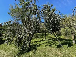 Prodej chaty, Uherský Brod, 20 m2