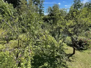 Prodej chaty, Uherský Brod, 20 m2