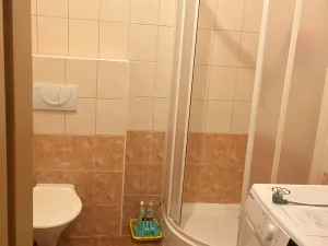 Pronájem bytu 1+kk, Kutná Hora, Tyršova, 42 m2