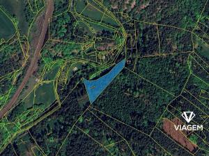 Prodej podílu lesa, Kuřimská Nová Ves, 1778 m2