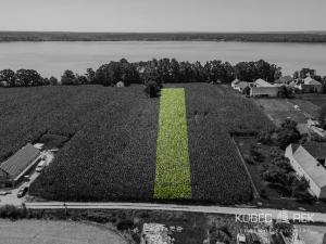 Prodej pozemku pro bydlení, Veselí nad Lužnicí, 1000 m2