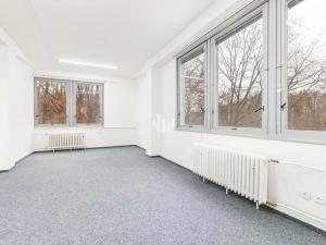 Pronájem kanceláře, Praha - Braník, Nad lesním divadlem, 168 m2