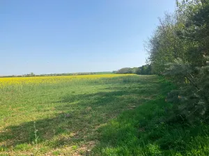 Pronájem rodinného domu, Herink, Krátká, 80 m2