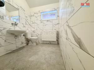 Pronájem bytu 2+kk, Těšany, 48 m2