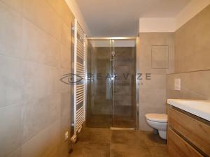 Pronájem bytu 2+kk, České Budějovice, Riegrova, 40 m2