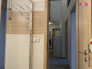 Pronájem bytu 5+kk, Praha - Malá Strana, Zborovská, 114 m2