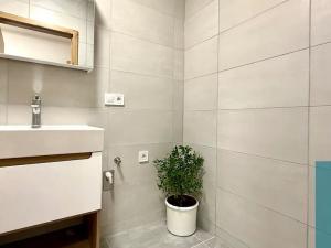 Pronájem bytu 2+kk, Zdounky, Nádražní, 60 m2
