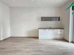 Prodej rodinného domu, Plzeň, 263 m2
