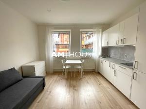 Pronájem bytu 1+kk, Praha - Krč, Budějovická, 23 m2