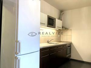 Pronájem bytu 1+kk, České Budějovice, Suchovrbenské nám., 49 m2