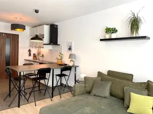 Pronájem bytu 2+kk, Praha - Žižkov, Olgy Havlové, 52 m2