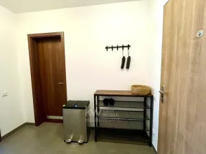 Pronájem bytu 2+kk, Praha - Žižkov, Olgy Havlové, 52 m2