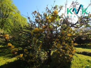 Prodej chaty, Karlovy Vary, 23 m2