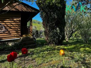 Prodej chaty, Karlovy Vary, 23 m2
