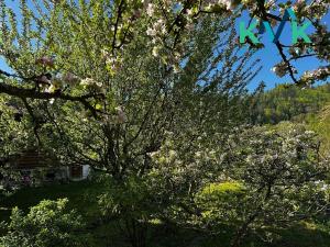 Prodej chaty, Karlovy Vary, 23 m2