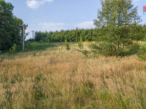 Prodej louky, Nový Bor - Janov, 5500 m2