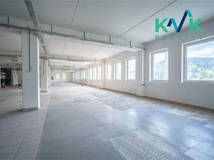 Prodej výrobních prostor, Nejdek, Karlovarská, 3135 m2