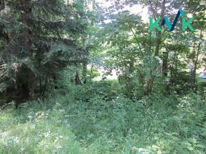 Prodej louky, Nejdek, 3354 m2
