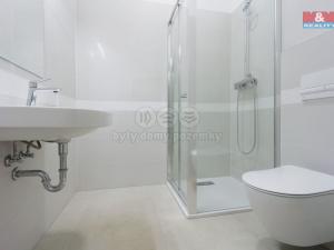 Pronájem bytu 1+kk, Plzeň - Jižní Předměstí, Americká, 55 m2