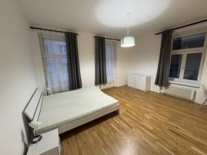 Prodej bytu 1+kk, Praha - Nové Město, Petrská, 45 m2