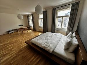 Prodej bytu 2+kk, Praha - Nové Město, Petrská, 90 m2