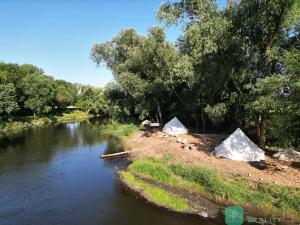 Prodej louky, Počedělice, 1504 m2