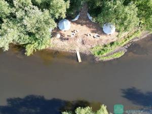 Prodej louky, Počedělice, 1503 m2