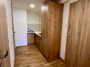 Pronájem bytu 1+1, Brno, Provazníkova, 27 m2