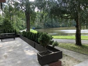 Pronájem ubytování, Hrotovice, 700 m2