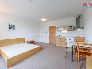 Pronájem bytu 1+kk, Karlovy Vary - Stará Role, Nejdlova, 33 m2