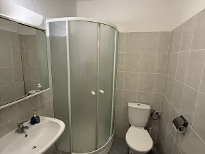 Pronájem bytu 1+kk, Plzeň, Nepomucká, 26 m2