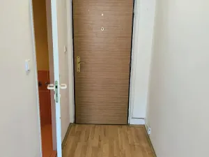 Pronájem bytu 1+kk, Děčín, Želenická, 25 m2