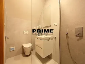 Pronájem rodinného domu, Průhonice, Sadová, 300 m2