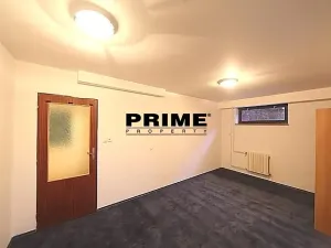 Pronájem rodinného domu, Průhonice, Sadová, 300 m2