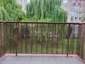 Pronájem bytu 2+1, Kolín - Kolín II, Mikoláše Alše, 56 m2