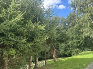 Pronájem bytu 1+kk, Liberec - Liberec XXX-Vratislavice nad Nisou, Seniorů, 34 m2