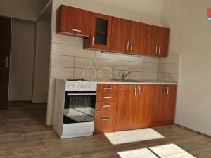 Pronájem bytu 1+kk, Plzeň - Východní Předměstí, Úslavská, 20 m2