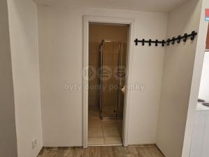 Pronájem bytu 1+kk, Plzeň - Východní Předměstí, Úslavská, 20 m2