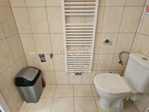 Pronájem bytu 1+kk, Plzeň - Východní Předměstí, Úslavská, 20 m2