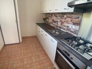 Pronájem bytu 3+1, Opava, Černá, 76 m2