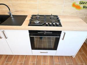 Pronájem bytu 3+1, Opava, Krnovská, 78 m2